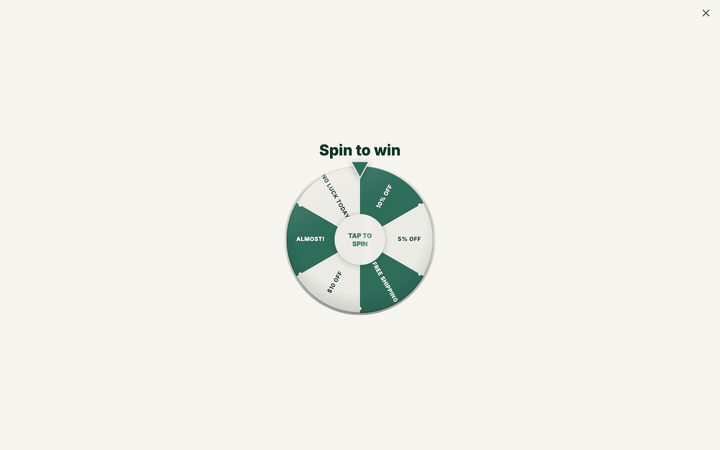 Animated spin-to-win wheel spinning and landing on 10% off, then advancing to the email step